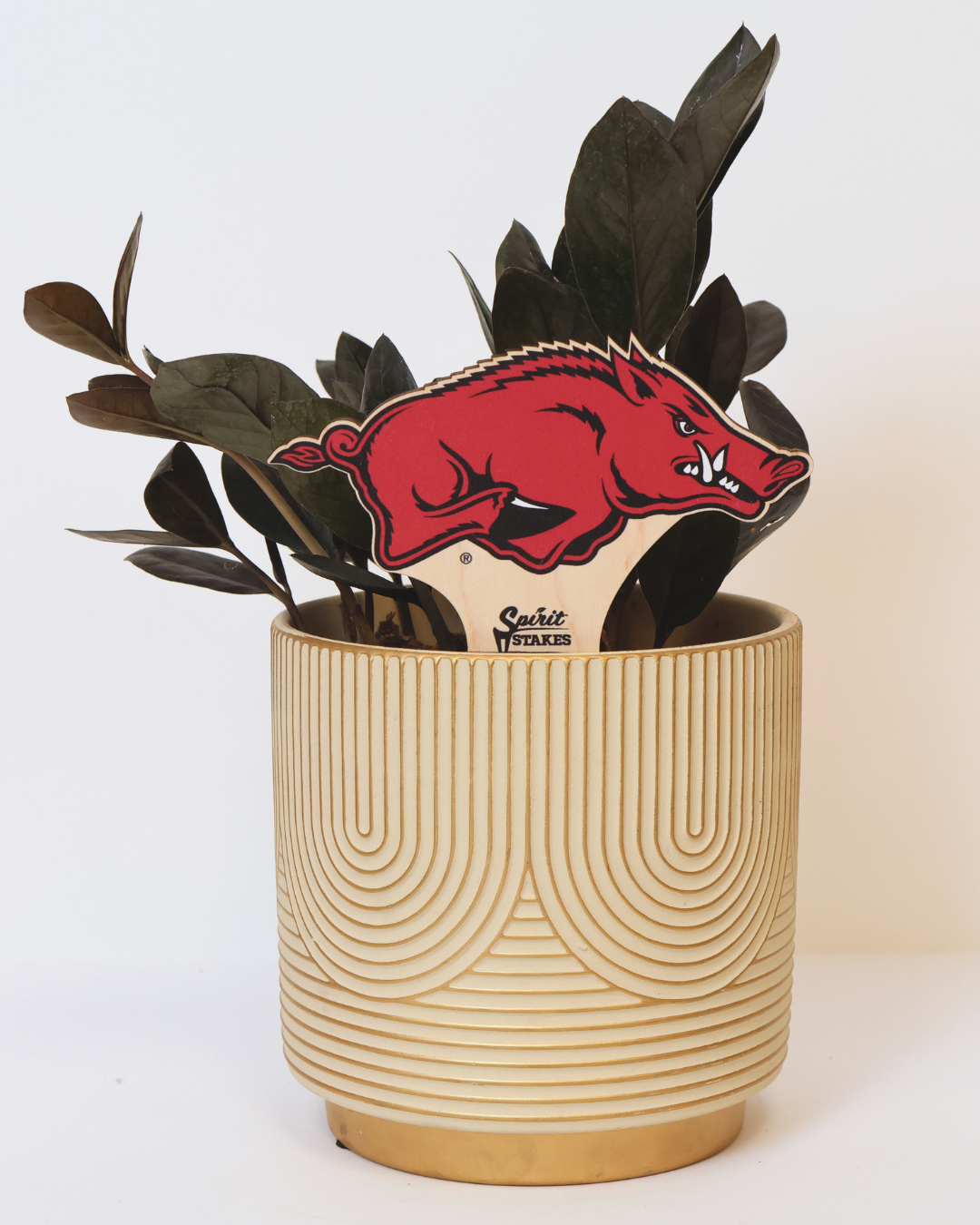 Arkansas, The University of