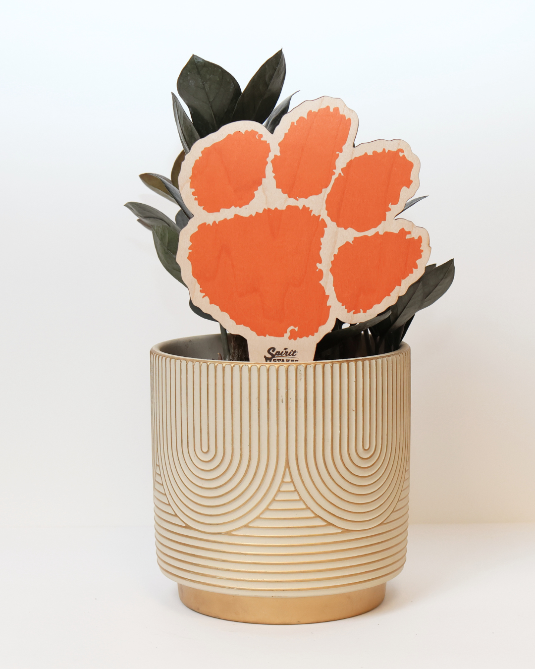 Clemson University