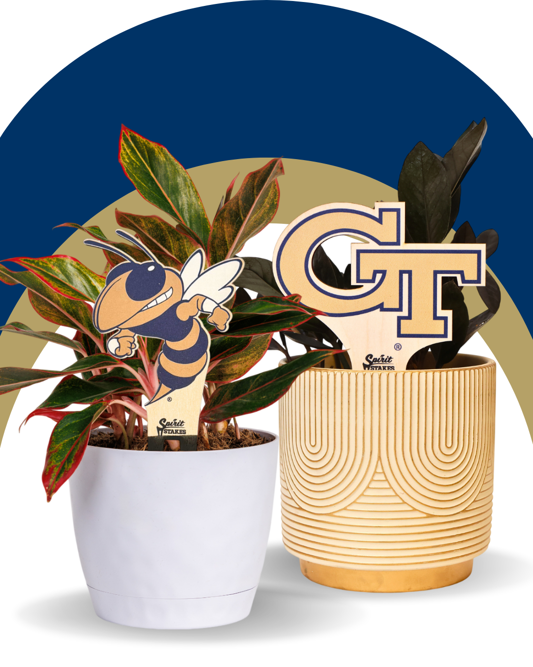 Georgia Tech