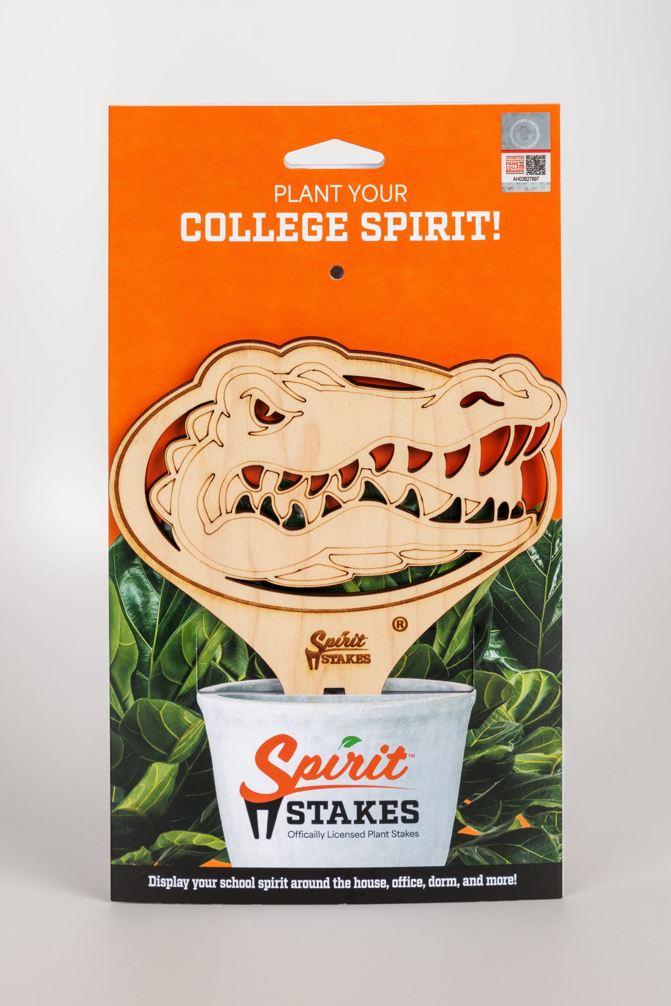 Florida, University of