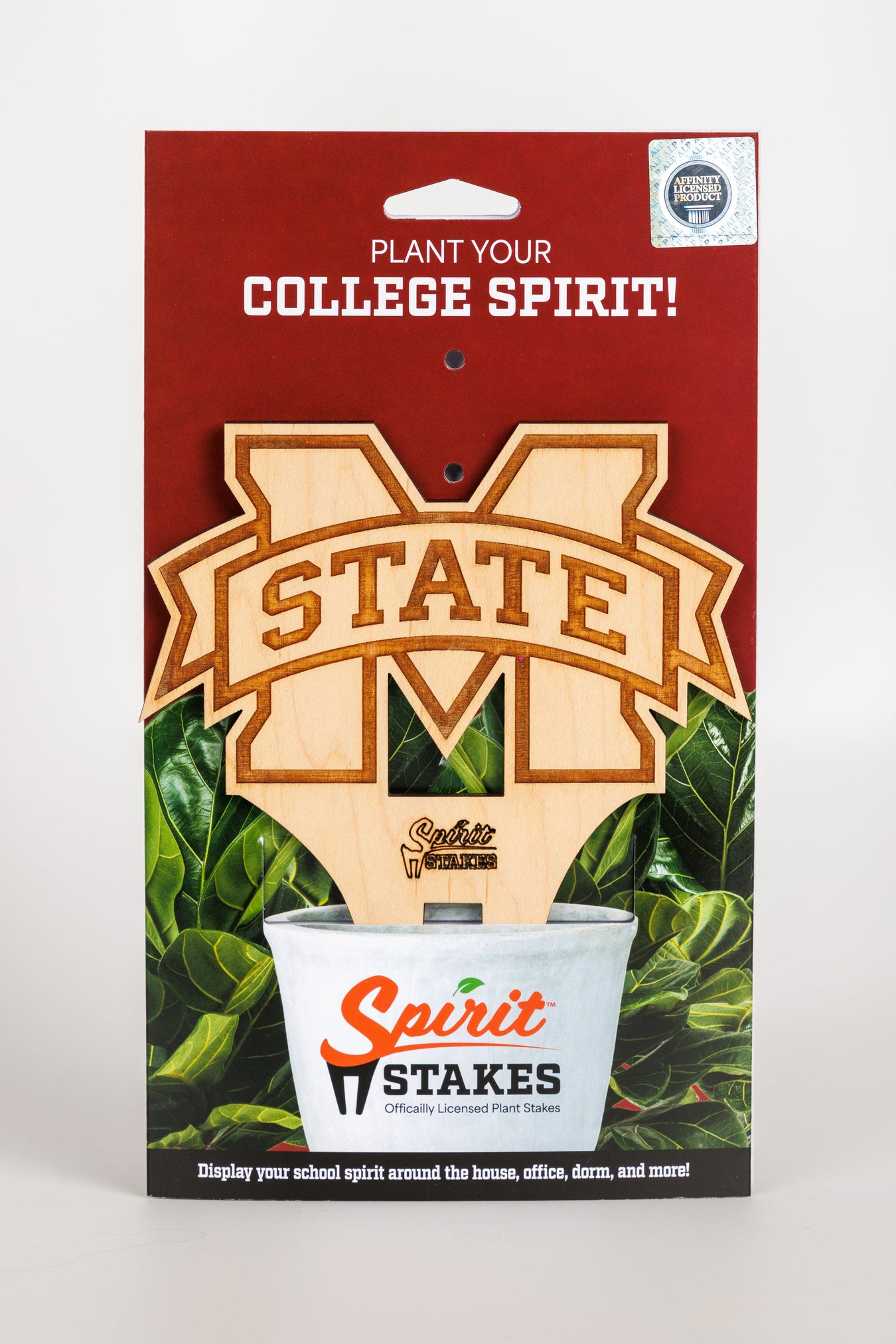 Mississippi State University