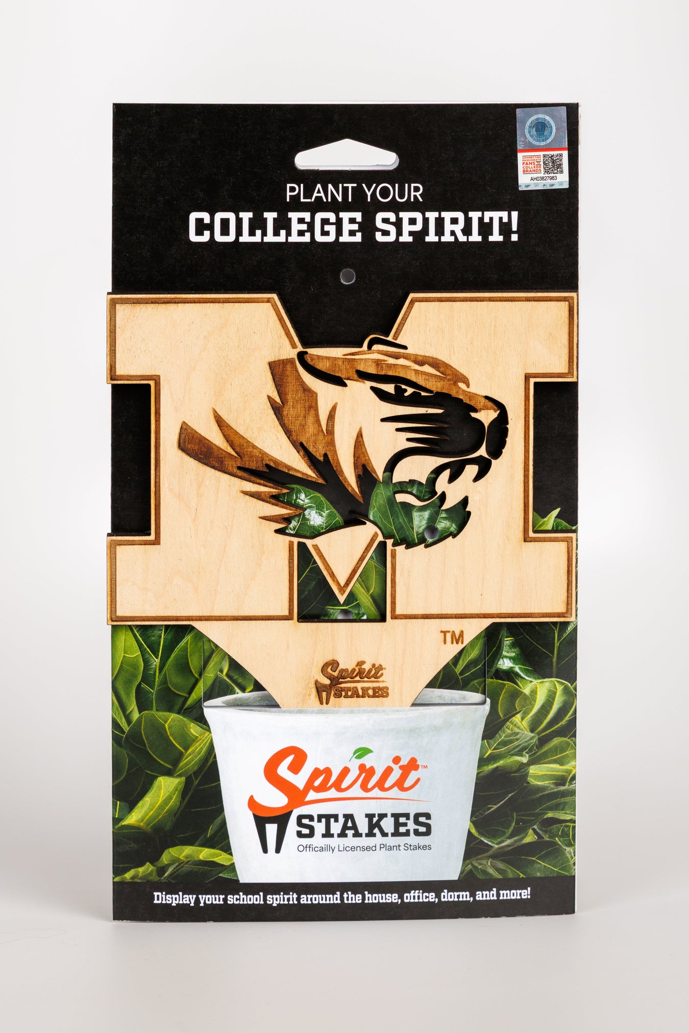 Missouri, University of