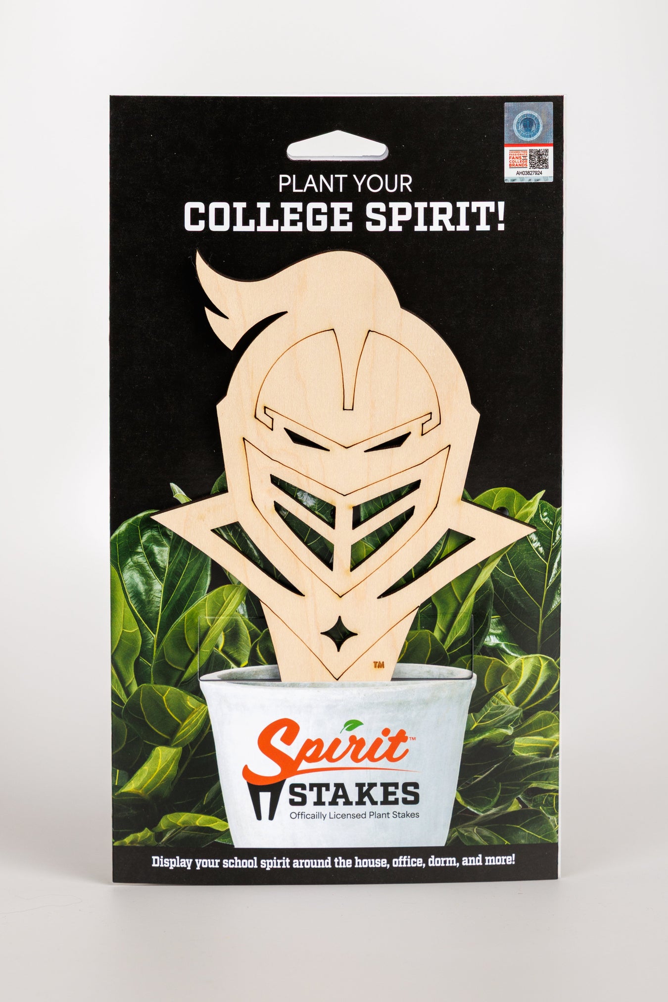 Central Florida, University of