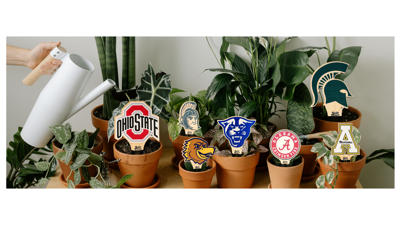 Spirit Stakes - Collegiate Collection