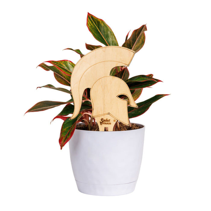 Michigan State Spartan Helmet Natural Wood Plant Stake