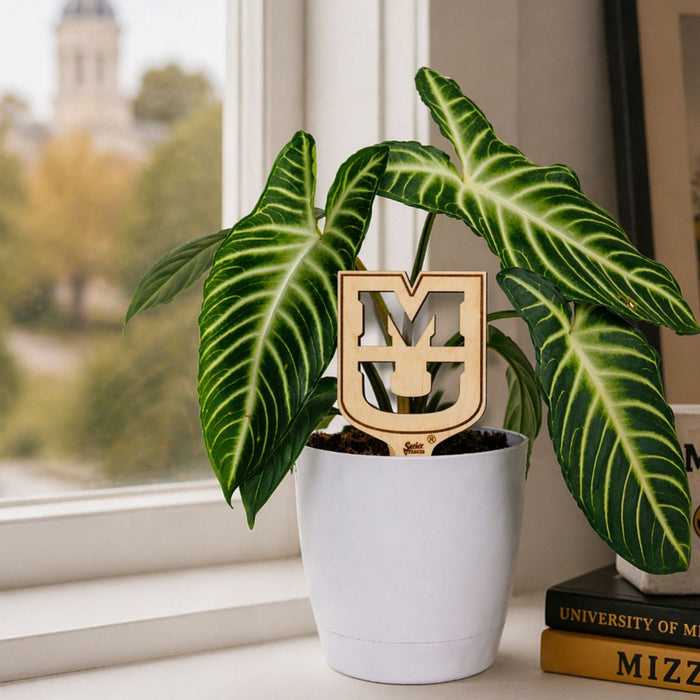 University of Missouri "MU" Natural Wood Plant Stake