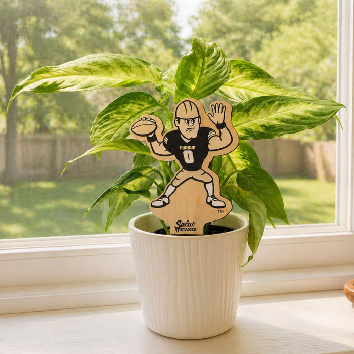 Purdue Pete Color Plant Stake