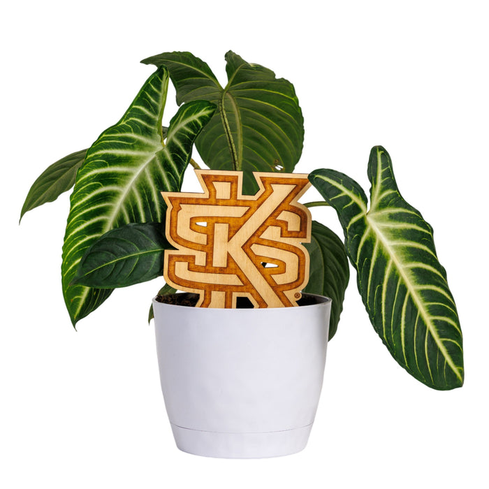 Kennesaw State University Natural Wood Plant Stake