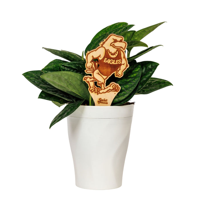 Georgia Southern Strutting Gus Natural Wood Plant Stake