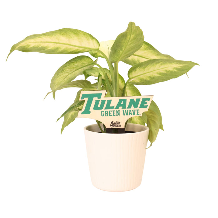Tulane University "Green Wave" Color Plant Stake