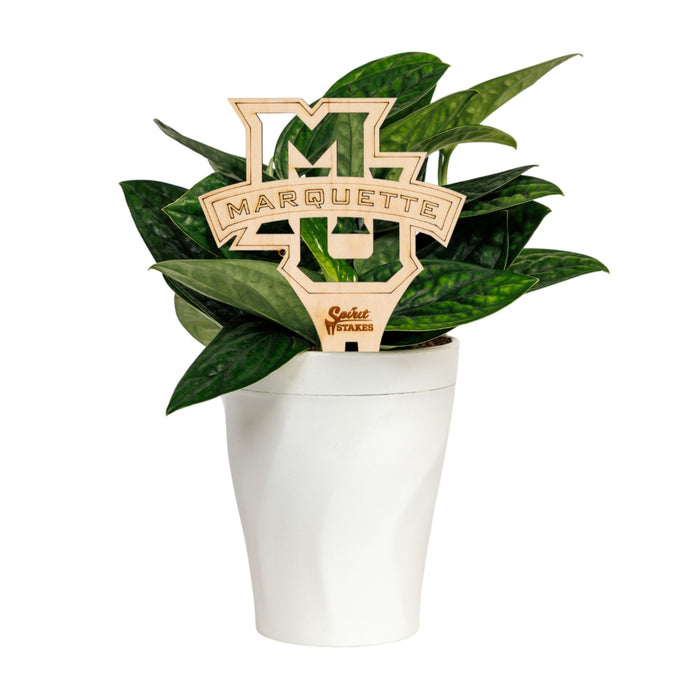 Marquette University Natural Wood Plant Stake
