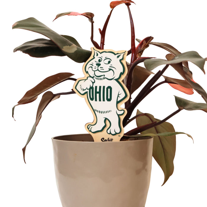 Ohio University Rufus Color Plant Stake