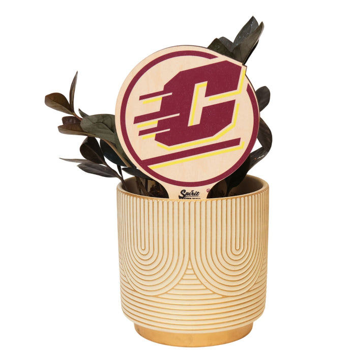 Central Michigan Action C Color Plant Stake