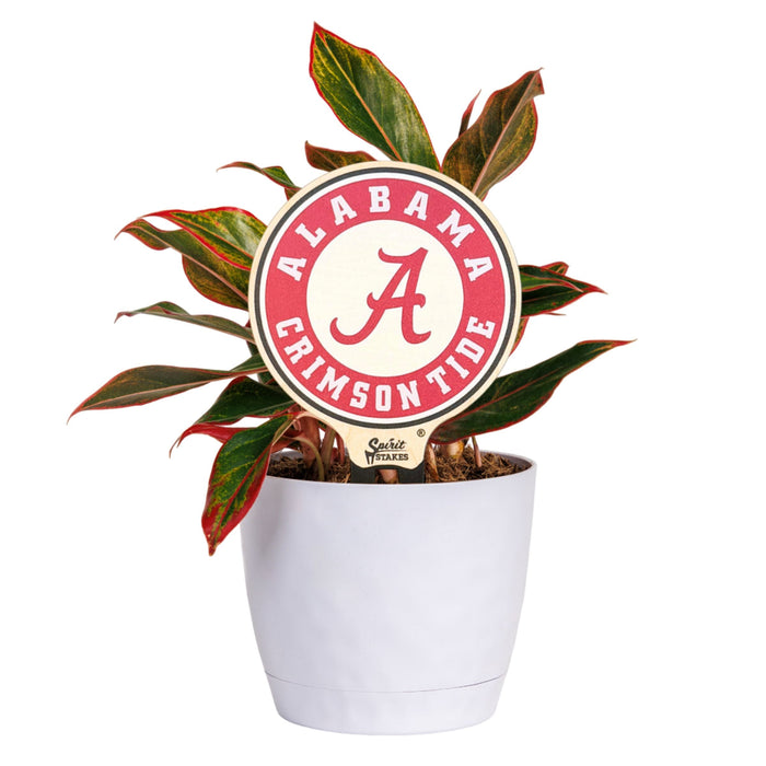 University of Alabama Circle Color Plant Stake