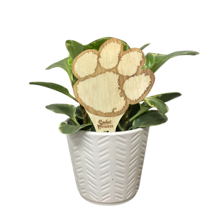 Clemson University Tiger Paw Natural Wood Plant Stake