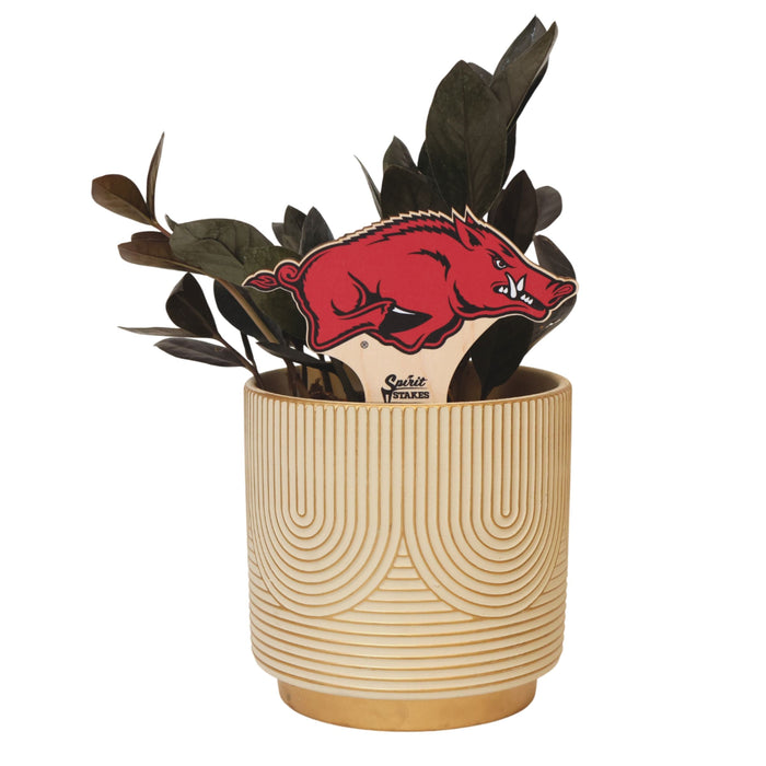 University of Arkansas Running Razorback Color Plant Stake