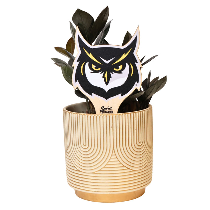 Kennesaw State University Owl Head Color Plant Stake