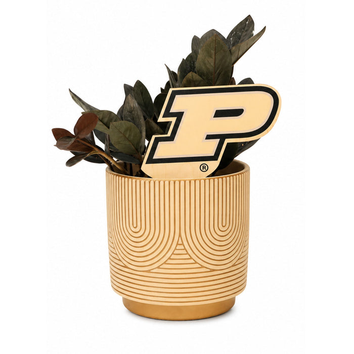 Purdue Color Plant Stake