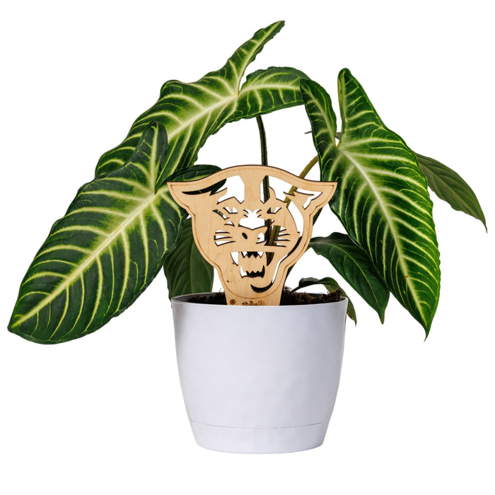 Georgia State University Panther Natural Wood Plant Stake