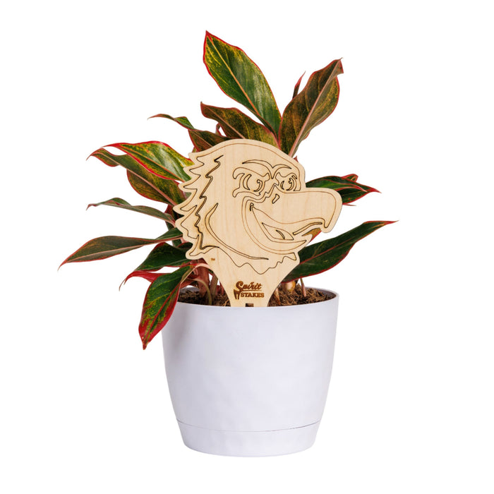 Marquette Eagle Natural Wood Plant Stake