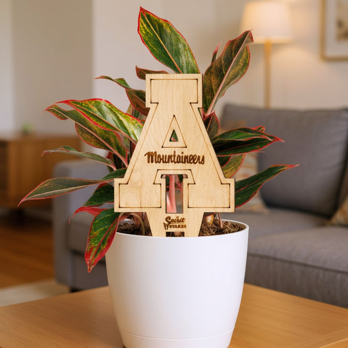 Appalachian State University Natural Wood Plant Stake