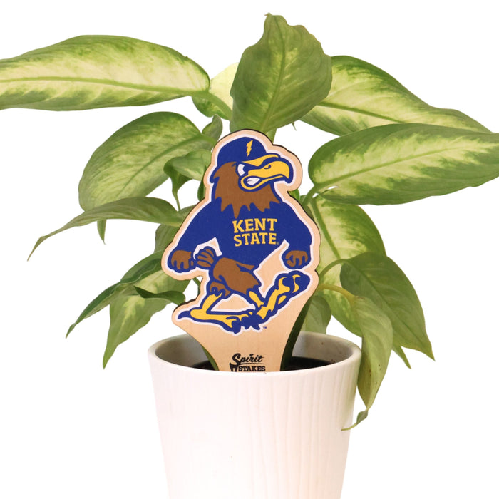 Kent State Fearless Flash Color Plant Stake