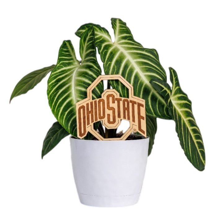 The Ohio State University Natural Wood Plant Stake