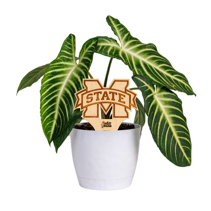 Mississippi State University Natural Wood Plant Stake