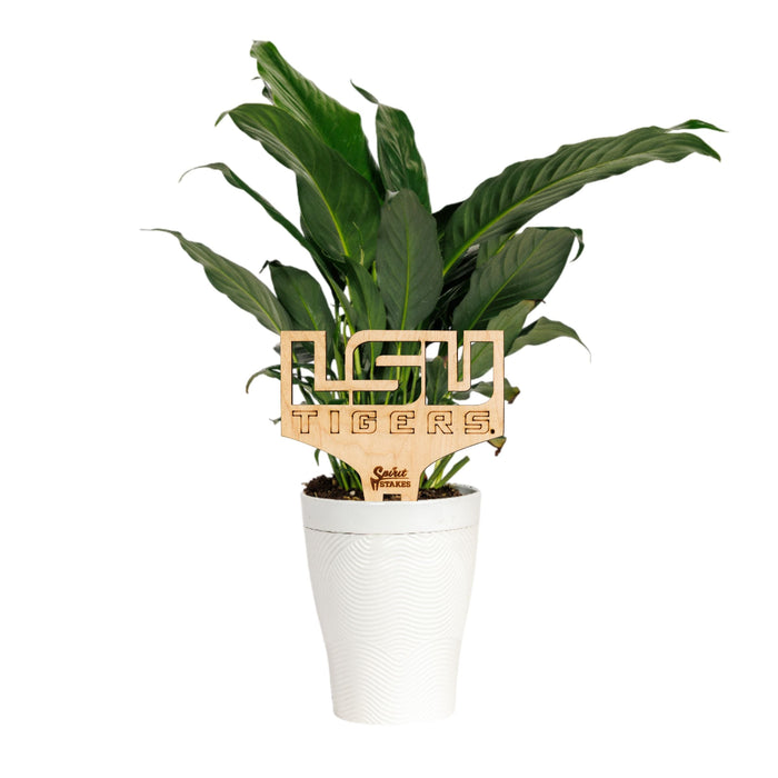 Louisiana State University Wordmark Natural Wood Plant Stake