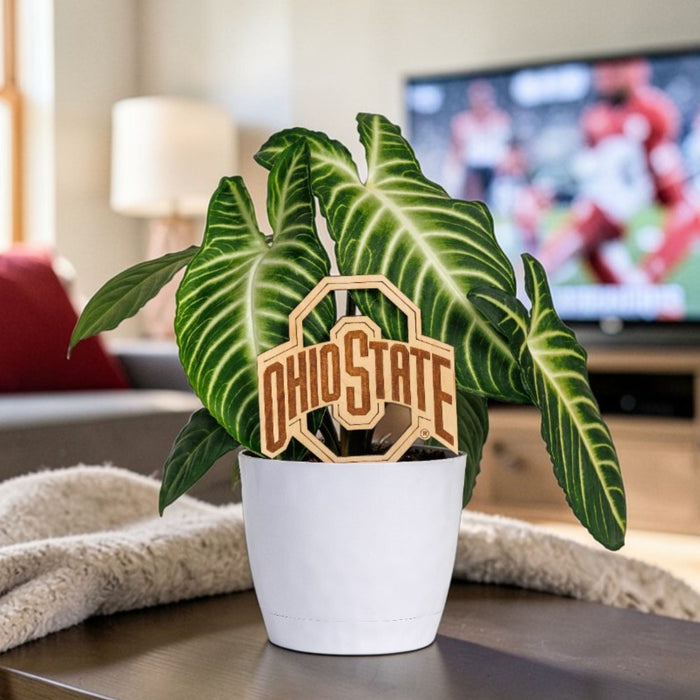 The Ohio State University Natural Wood Plant Stake