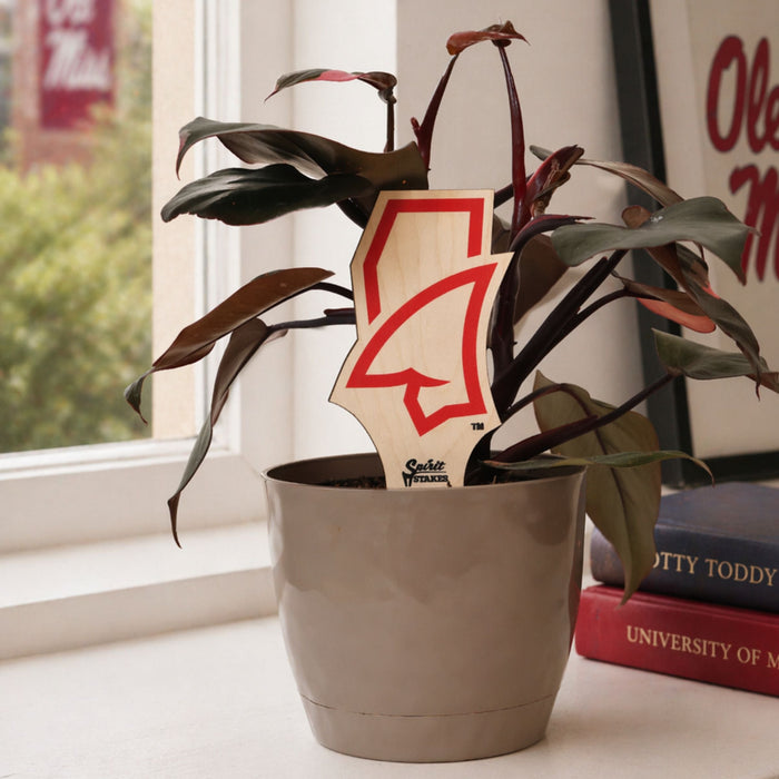 University of Mississippi Landshark Color Plant Stake