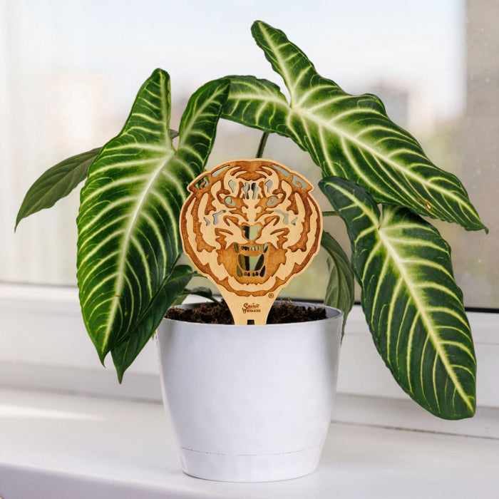 Louisiana State University Tiger Head Natural Wood Plant Stake
