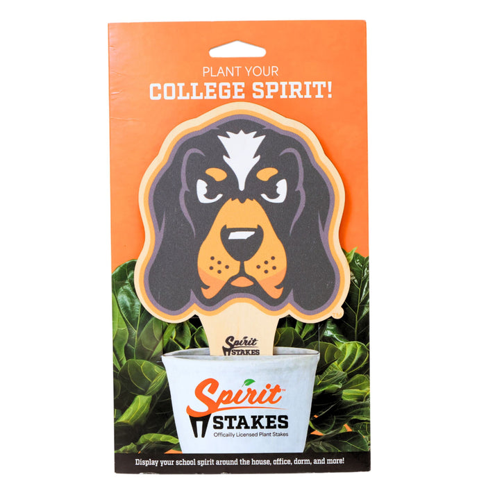 Tennessee Smokey Color Plant Stake
