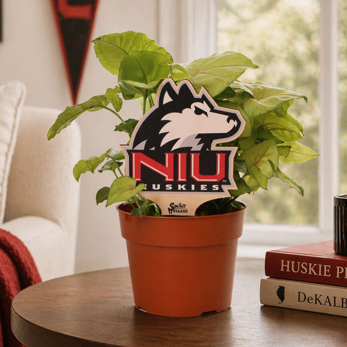 Northern Illinois University Logo Color Plant Stake