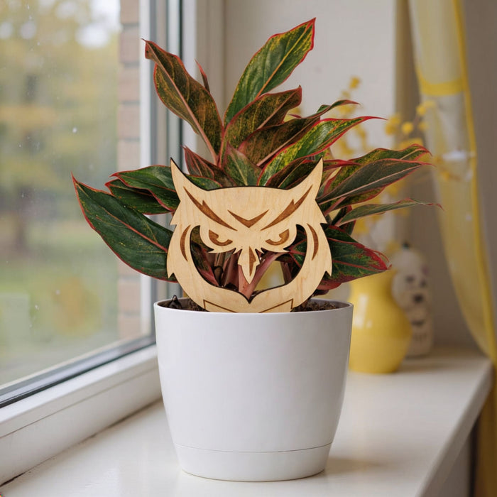 Kennesaw State University Owl Head Natural Wood Plant Stake