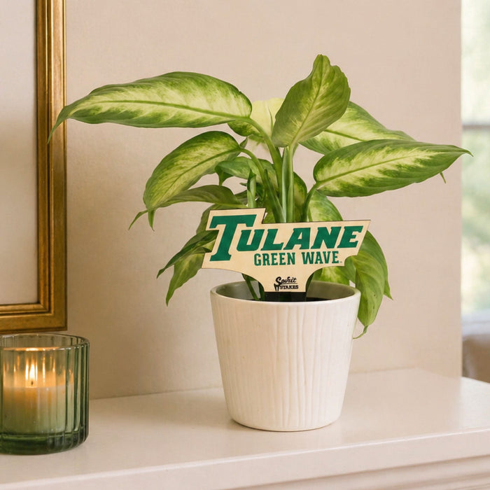 Tulane University "Green Wave" Color Plant Stake
