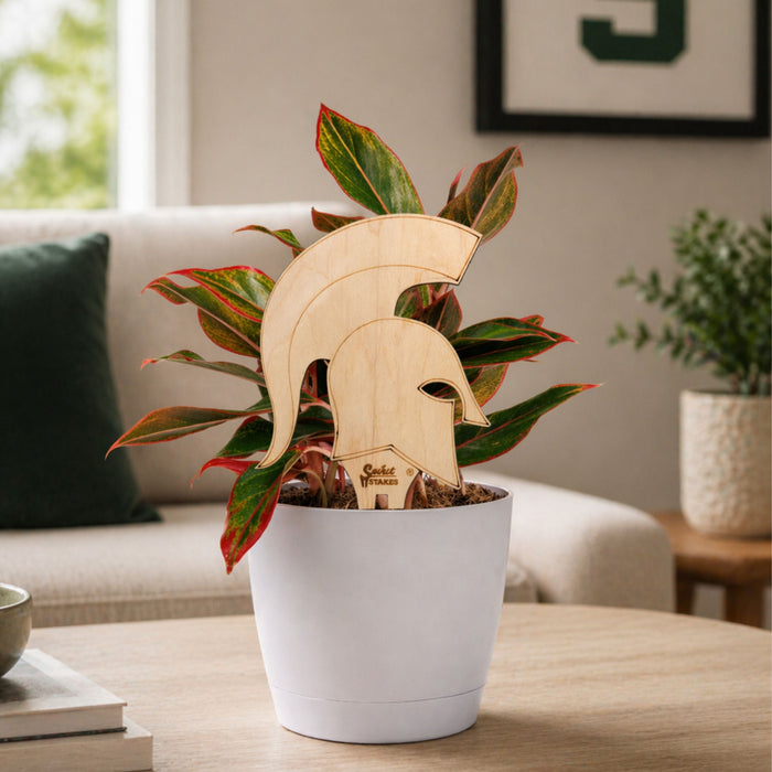 Michigan State Spartan Helmet Natural Wood Plant Stake