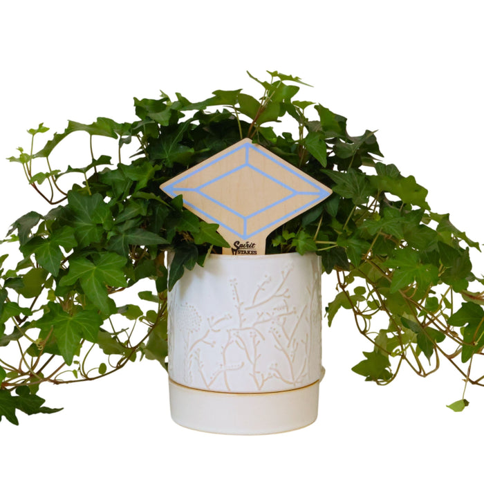 Alpha Delta Pi Jewel Color Plant Stake