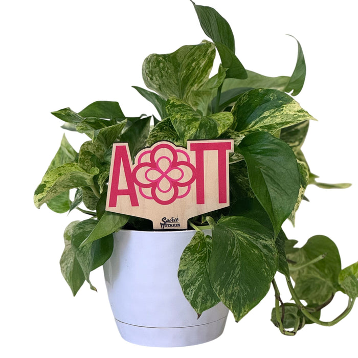 Alpha Omicron Pi Logo Color Plant Stake