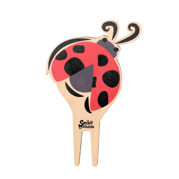 Alpha Sigma Alpha Ladybug Color Plant Stake
