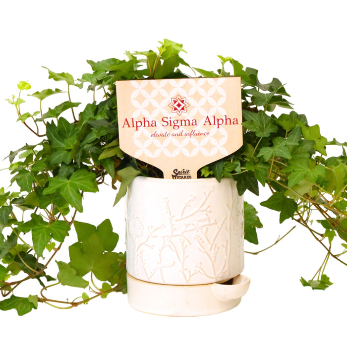 Alpha Sigma Alpha Motto Color Plant Stake
