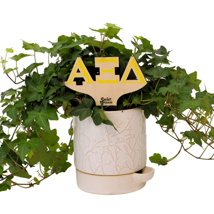 Alpha Xi Delta Letters Color Plant Stake