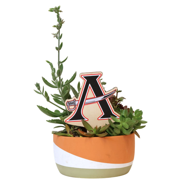 Allatoona Sword Color Plant Stake