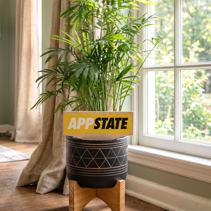 Appalachian State University Wordmark Color Plant Stake