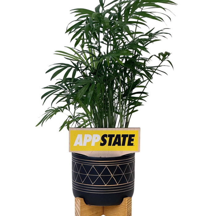 Appalachian State University Wordmark Color Plant Stake