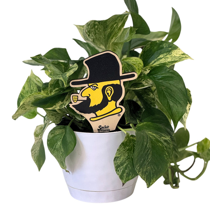 Appalachian State University Yosef Color Plant Stake