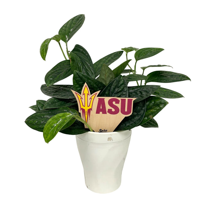 Arizona State Logo Color Plant Stake