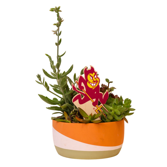 Arizona State Sparky Color Plant Stake