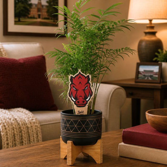 University of Arkansas Razorback Head Color Plant Stake