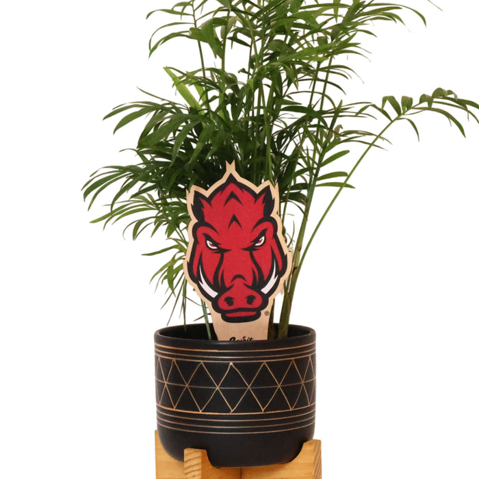 University of Arkansas Razorback Head Color Plant Stake